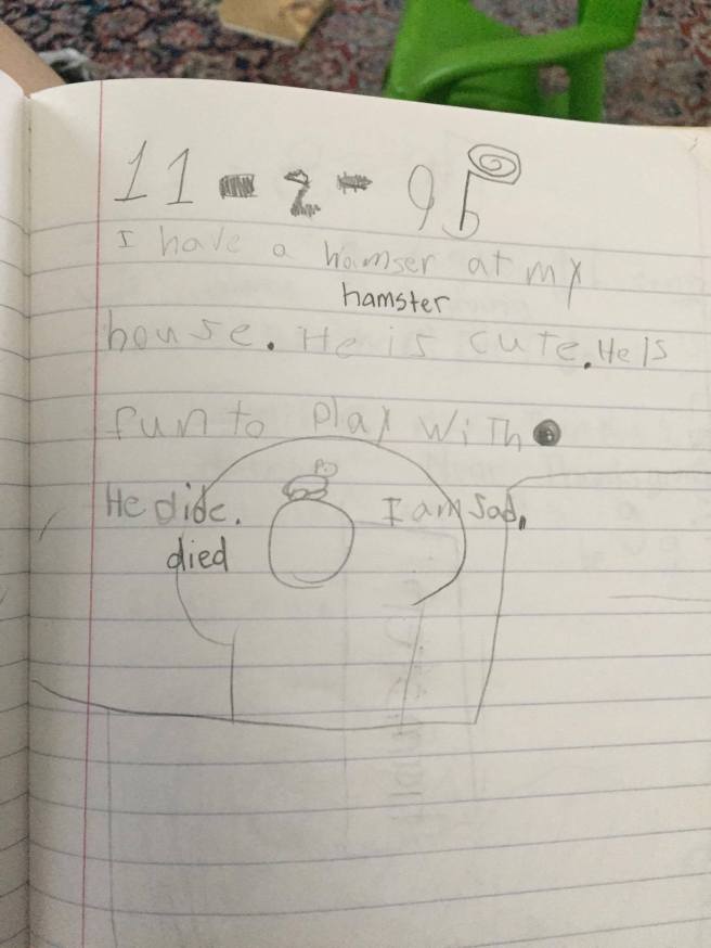 22550785_10210040842768958_1152578615_o